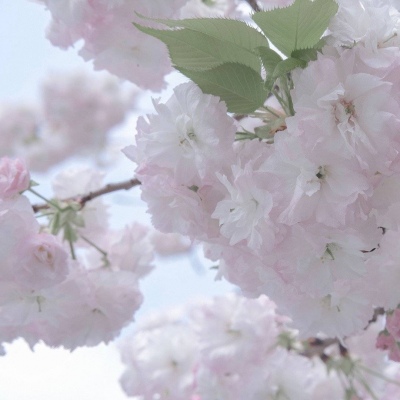 Furry插画故事感灵感Furry群